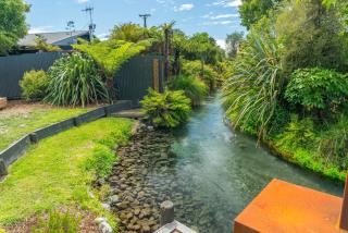 Streamside Fern Cabin - Waitahanui, Taupo - Waitahanui - 3