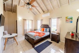 Antiguan City and Sea Escape - - 2