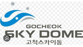 Stayjin KachisanStation Gimpo AirportIncheon Airport Yeouido Hongdae Gocheok Dome Up to 9people 4 beds - Seul - 1