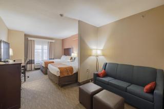 Comfort Suites Perrysburg - Toledo South - Perrysburg - 5