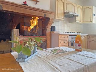 Gîte authentique au cœur du Perche, 18ème siècle, cheminée, jardin clos, animaux acceptés, WIFI inclus. - FR-1-497-49 - Pervenchères - 9