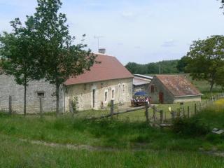 Gîte authentique au cœur du Perche, 18ème siècle, cheminée, jardin clos, animaux acceptés, WIFI inclus. - FR-1-497-49 - 5
