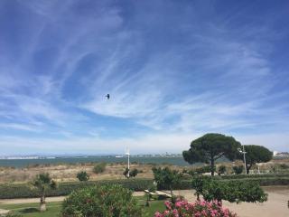 Studio 2 cabines 4 pers avec parking, vue mer - Port Camargue - FR-1-731-130 - Le Grau-du-Roi - 0