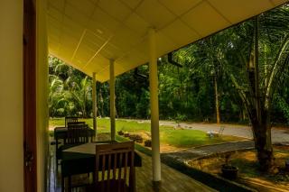 Little Ele Safari Lodge - Udawalawe - 8