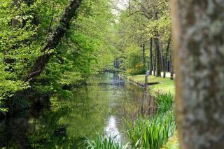 Ferienwohnung Allee - Detmold - 6