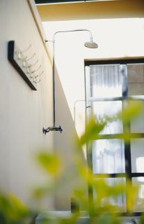 The Olive Thrush Cottage - 5