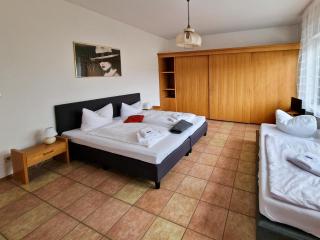 Hotel Bayerischer Wald HFVI - Neukirchen - 2