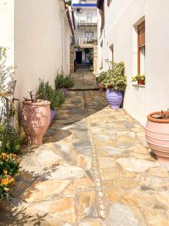 Dina's Flowers - Alonnisos Summer Havens - 2
