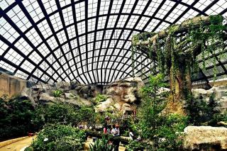 EEs Paddle House - Homestay 3 min walk to beach - 7