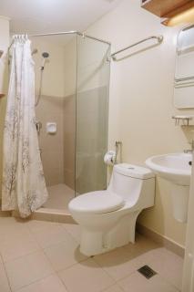 Relaxing Sanctuary in Iloilo - Iloilo - 5