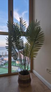 Orbi Plaza Nino - Batumi - 9