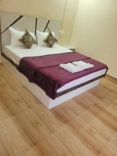 coconut tree guest house - Hampi - 4