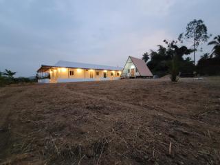 coconut tree guest house - Hampi - 7