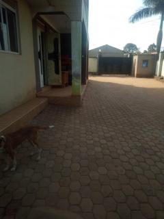 Abaluya Investments - 2