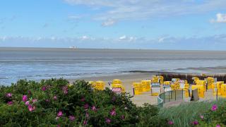 Strandnahe Ferienwohnung Haus Sonneneck 4 - Cuxhaven - 1