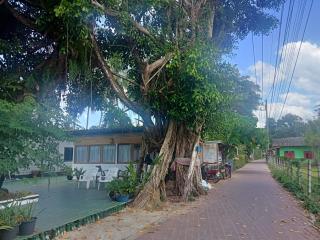 Kohmook treehouse - 9