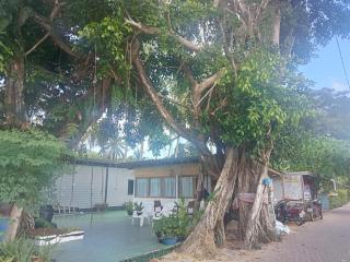 Kohmook treehouse - Kantang - 2