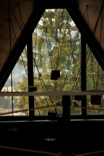 Лісогори - 9