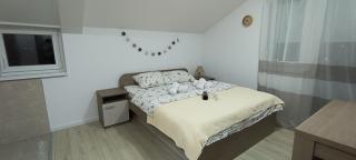 Studio Dimitrije 14 - Soko Banja - 5