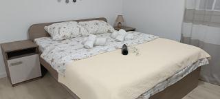 Studio Dimitrije 14 - Soko Banja - 6