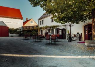 Weingut Schuh - Coswig - 9