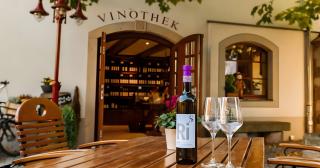 Weingut Schuh - Coswig - 8