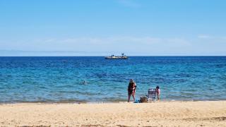 El Palmar de Sofia - Dénia - 6