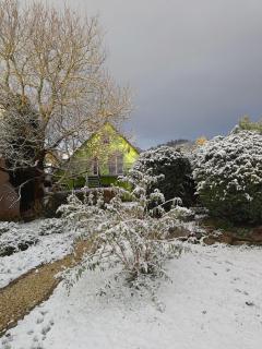 Siedlisko nad Stawem - 2