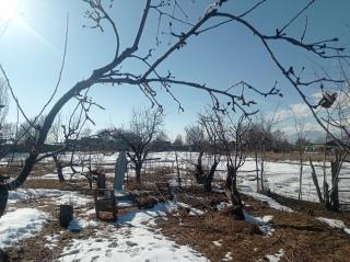 Гостевой дом - 3