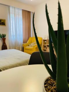Postavarului Residence Brasov - Braşov - 6