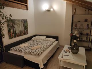 CozyGem House 2 mins walk Charles Bridge - Prague - 5