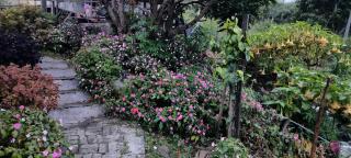 KOMOWANAN HOMESTAY - Kundasang - 7