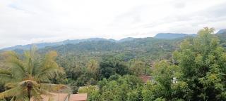 Johans Villa Kandy - Kandy - 5
