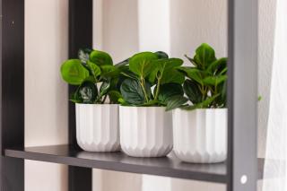 Mynd Retreat Apartment by BiNoBi! - 2