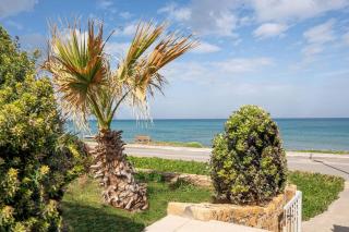 Pink Rose Beachfront Villa - Heraklion - 8
