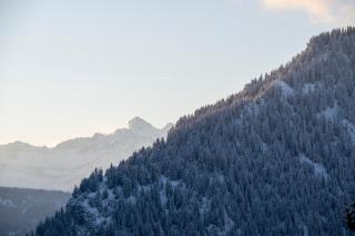 Apartment Skye - Verbier - 6