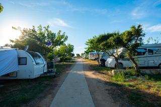 Terra Park Phalaris Pitches - Novalja - 1