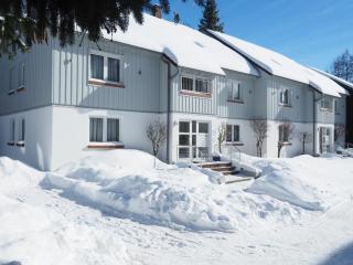 Ferienresidenz-an-der-Bode-Wohnung-2 - Braunlage - 2