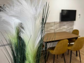 Apartma Rače - Rače - 0