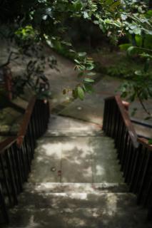 Wayanad Silverwoods Forest Resort & Spa - Padinjarathara - 1
