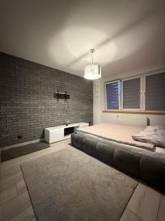 Apartament Przyjazny - Żywiec - 6