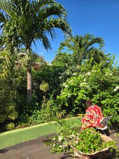 Eve's Rockaway Villa - Alligator Pond - 2
