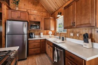 The Volpe Den cabin - Lake Arrowhead - 1
