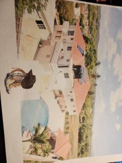 Eve's Rockaway Villa - Alligator Pond - 3