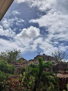Eve's Rockaway Villa - Alligator Pond - 5