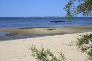 Maison MANGUELI - Bassin d 'Arcachon - Audenge - 5
