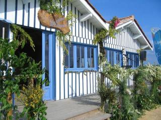 Maison MANGUELI - Bassin d 'Arcachon - Audenge - 3
