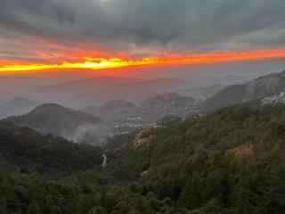 Pine Ville Shimla - 8