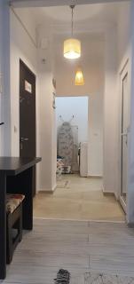 Apartament Ultra-Central Lux -,, AndreCasu ,, - 3