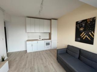 Lovers Enchantment Apartment - Bucarest - 7